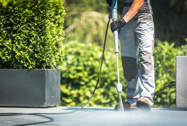 Best Sidewalk and Walkway Cleaning  in Laguna Park, TX
